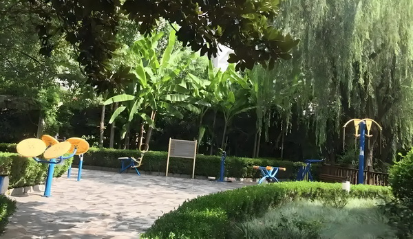 阿薇